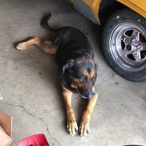 Meet your Posher, William